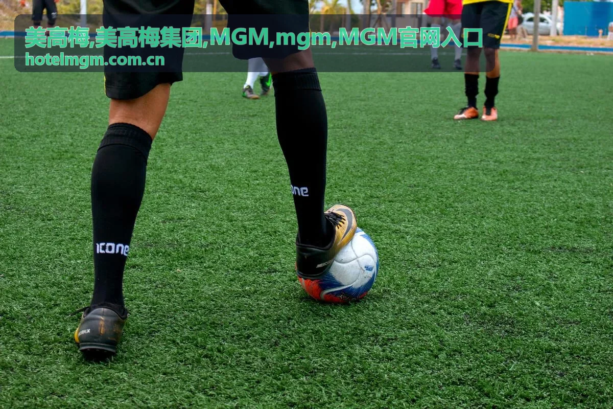 美高梅集团 MGM 中文资讯导航背景