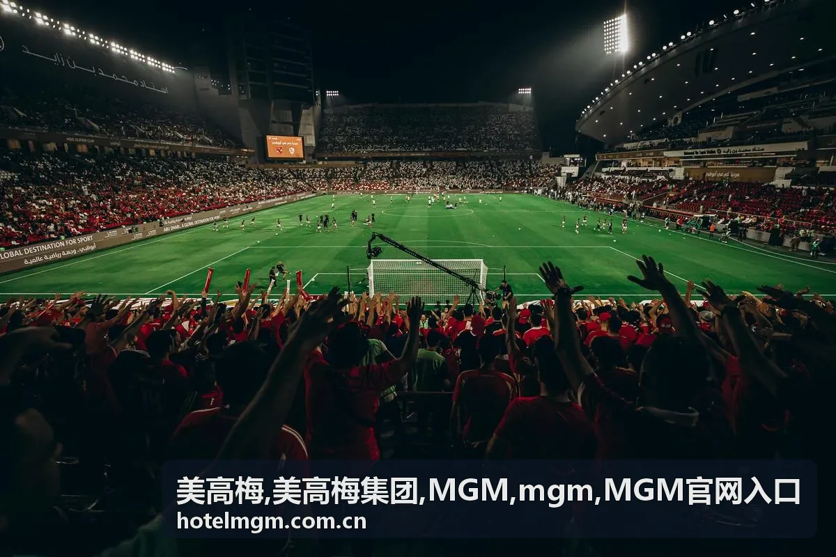 美高梅 MGM 官网入口指南专题封面